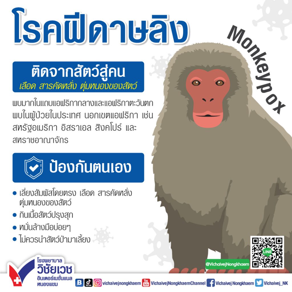 My Image 12