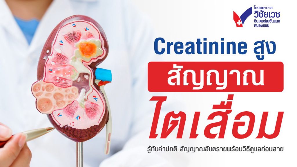 Creatinine สูง สัญญาณไตเสื่อม  รู้ทันค่าปกติ สัญญาณอันตราย พร้อมวิธีดูแลก่อนสาย