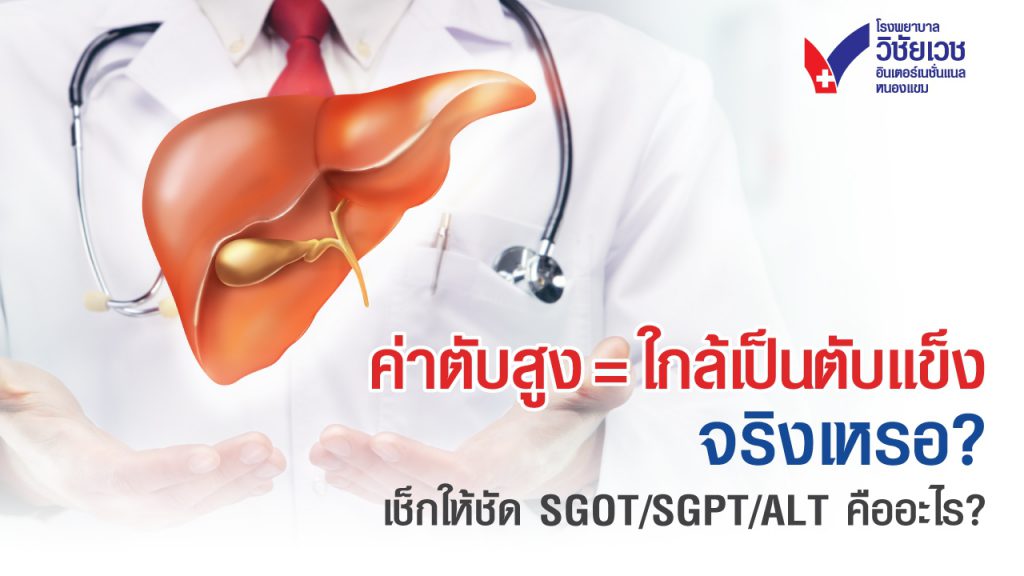 ค่าตับสูง = ใกล้เป็นตับแข็งจริงหรือ? เช็กให้ชัด SGOT SGPT ALT คืออะไร