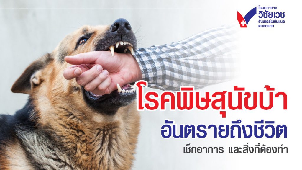 โรคพิษสุนัขบ้า อันตรายถึงชีวิต แต่ป้องกันได้ด้วยวัคซีน