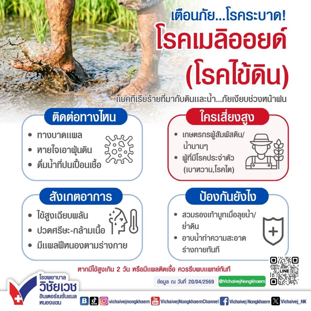 เตือนภัยโรคระบาด โรคเมลิออยด์ (โรคไข้ดิน)